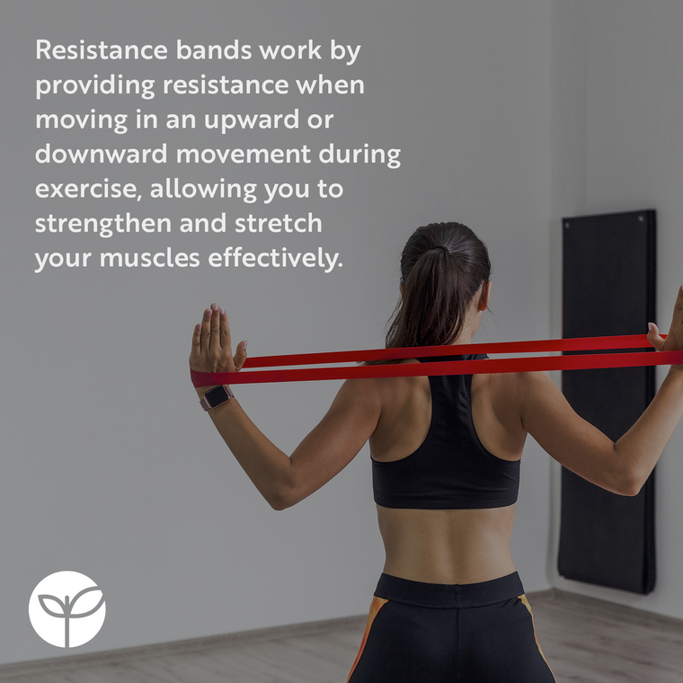 5 Mini Resistance Bands