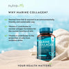 Marine Collagen